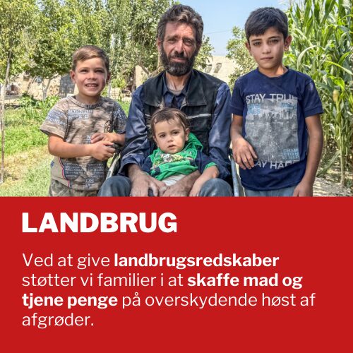 Landbrug Landbrug: Ved at give landbrugsredskaber støtter vi familier i at skaffe mad og tjene penge på overskydende høst af afgrøder.