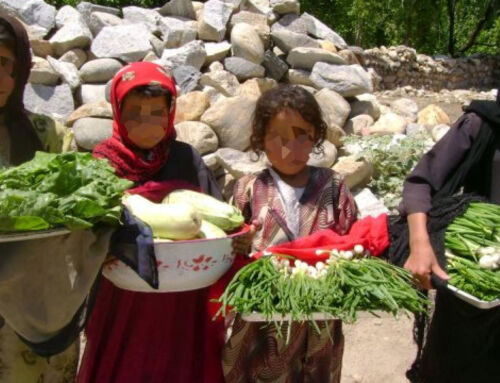 Kvinder i Afghanistan kæmper stadig for at overleve