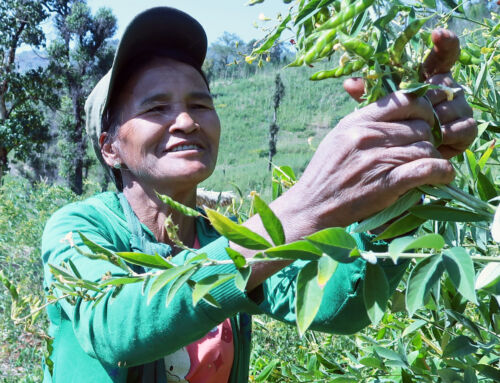 Mission East sikrer madforsyning i Myanmar