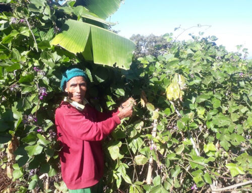 Mission East styrker den pressede lokalbefolkning i Myanmar