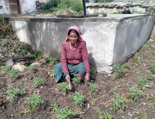 Klimahandling på tværs af kontinenter 