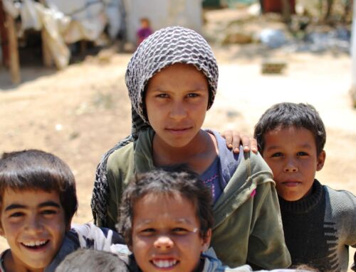 We are hiring: Experienced Grant Development Lead and Programme Manager