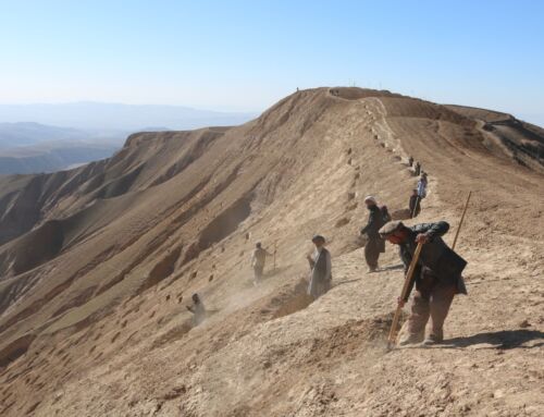COP29: In Solidarity for a green world