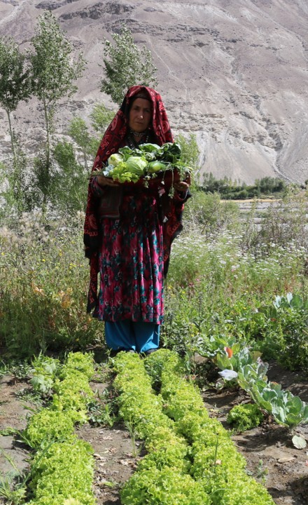 In Afghanistan people learn to address climate change by growing drought resistant crops