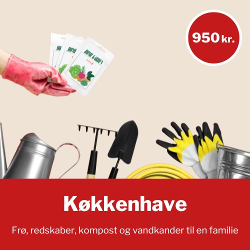 Køkkenhave Doner en selvforsynende have med frø, redskaber, kompost og vandkander til en familie - pris 950 kr.